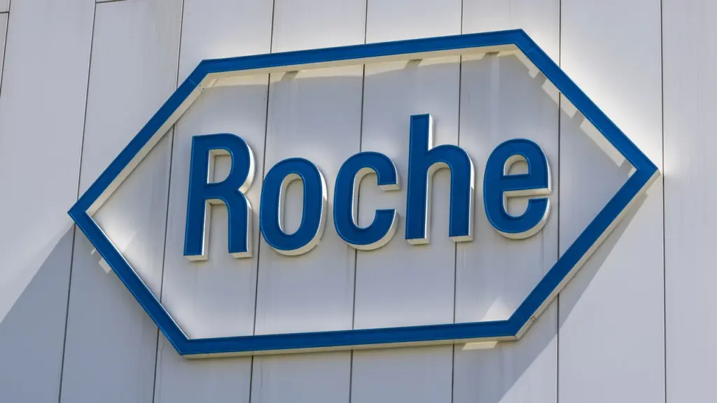 Roche aktie