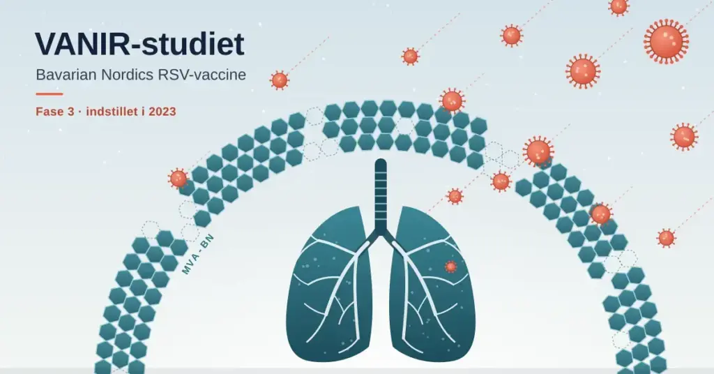 Illustration af et kuppelformet skjold af sekskantede MVA-BN-celler med huller, hvor røde RSV-viruspartikler slipper igennem mod et par lunger, med teksten »VANIR-studiet – Bavarian Nordics RSV-vaccine« og »Fase 3 · indstillet i 2023«.