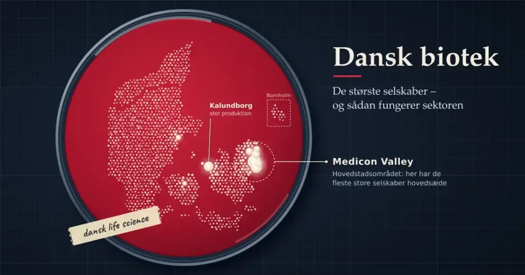 Illustration af en petriskål med rød blodagar, hvor hvide bakteriekolonier danner et Danmarkskort med de største kolonier i Medicon Valley omkring hovedstaden og ved Kalundborg, ved siden af teksten »Dansk biotek – De største selskaber og sådan fungerer sektoren«.